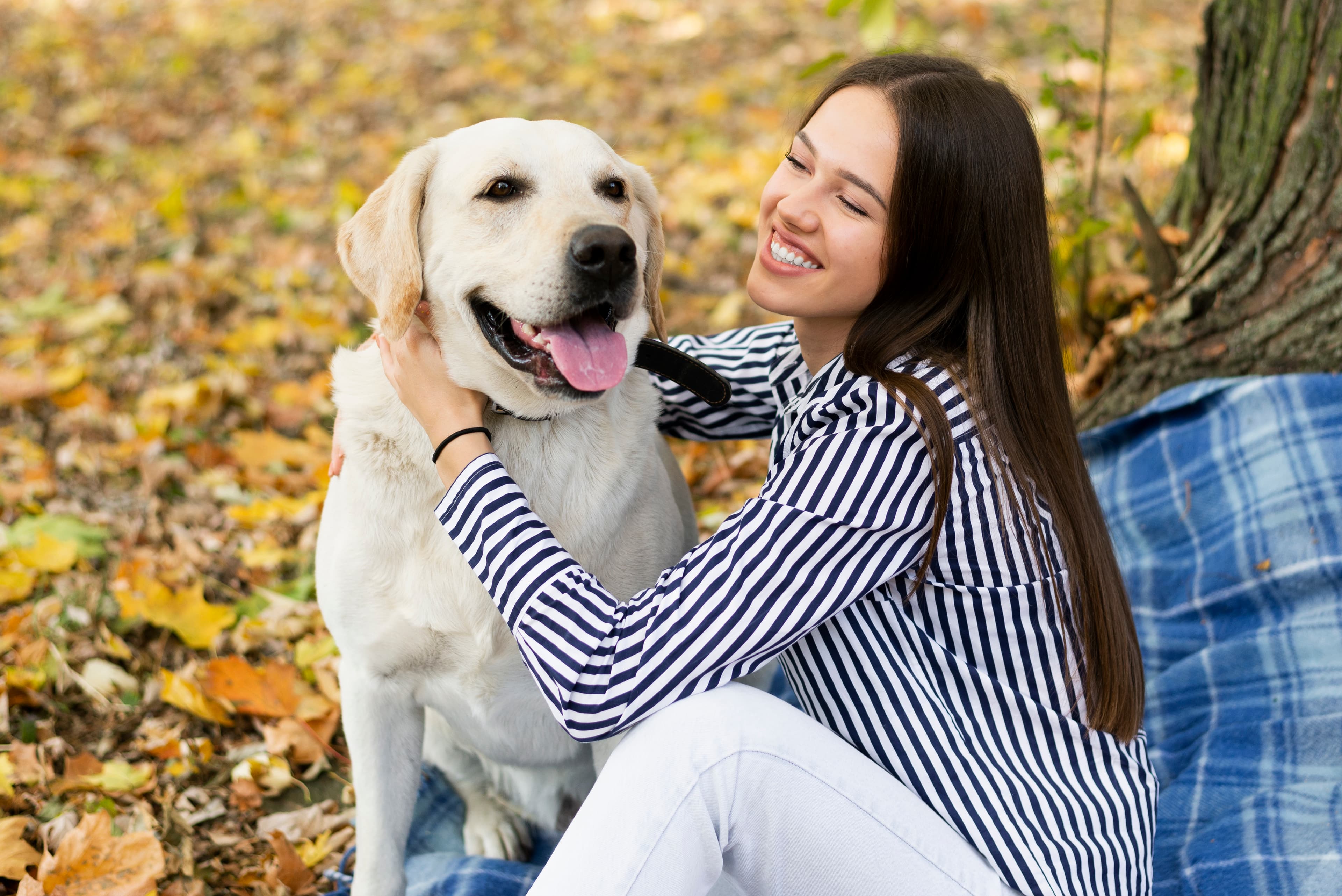 pet-neutering