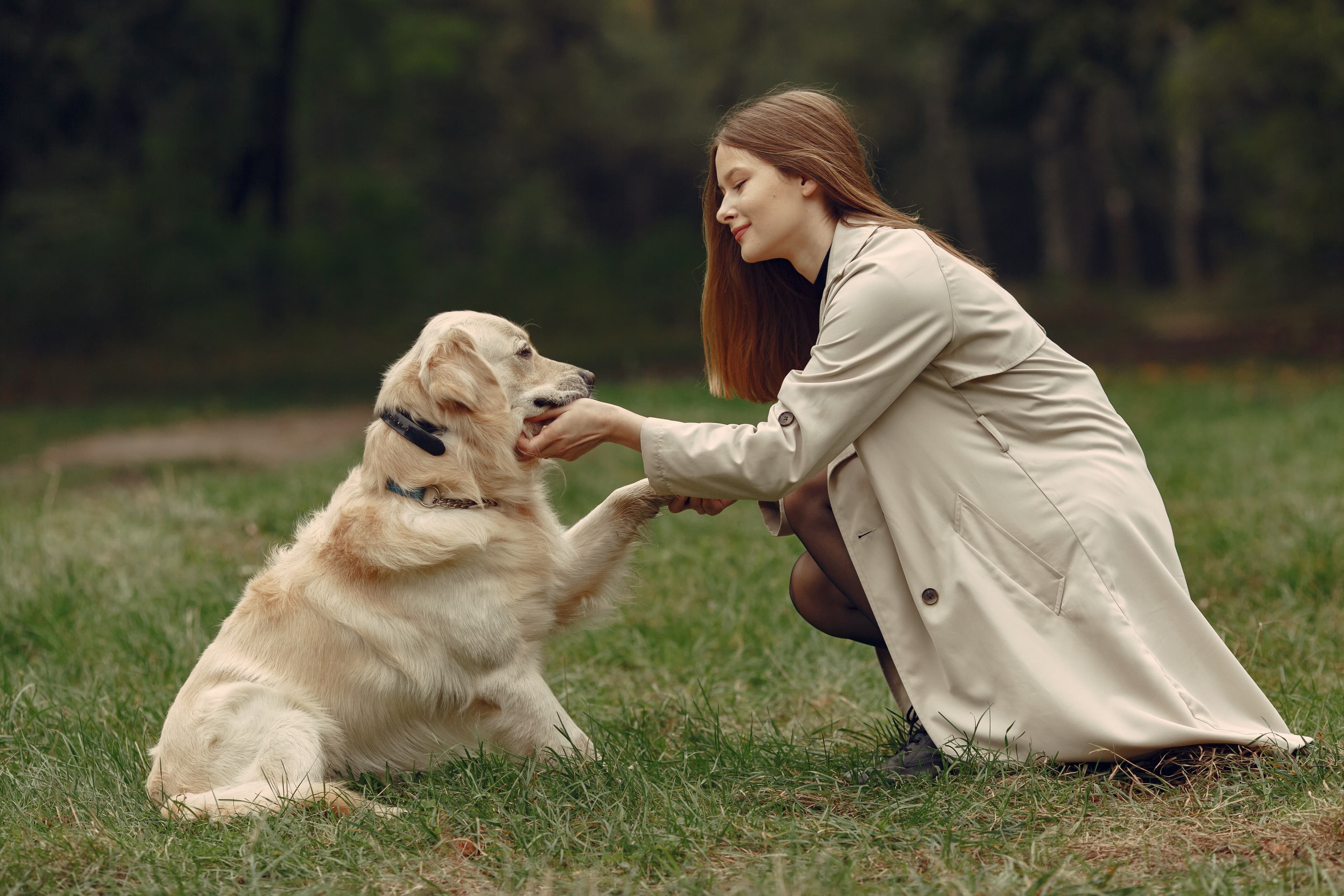 senior-pet-care