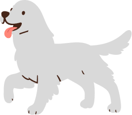 Dogs