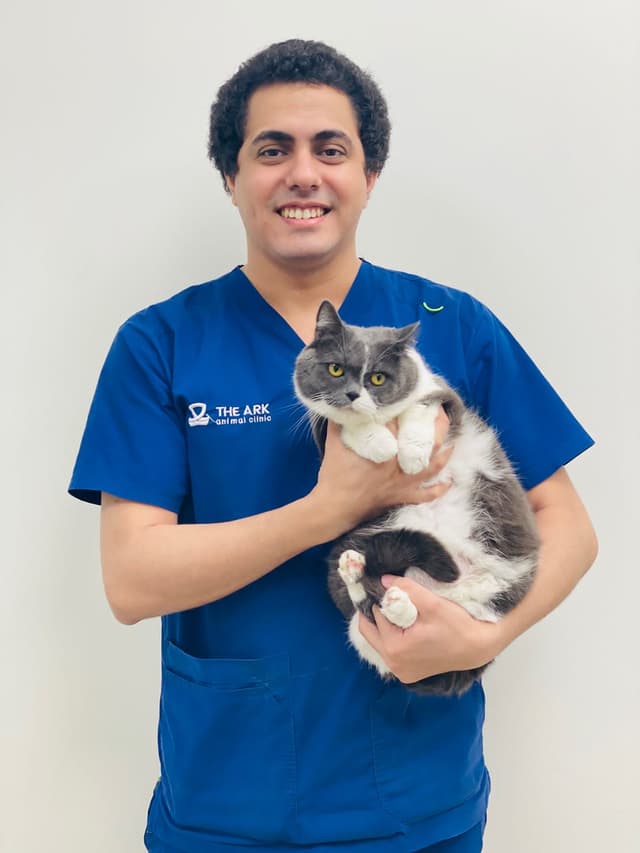 Dr. Mohamed Abdelaziz