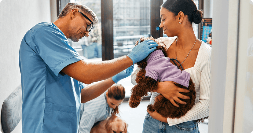 Specialized Treatment & Services for <span>Cats and Dogs</span>