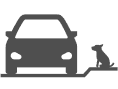 Pet Pick Up and Drop Off Services