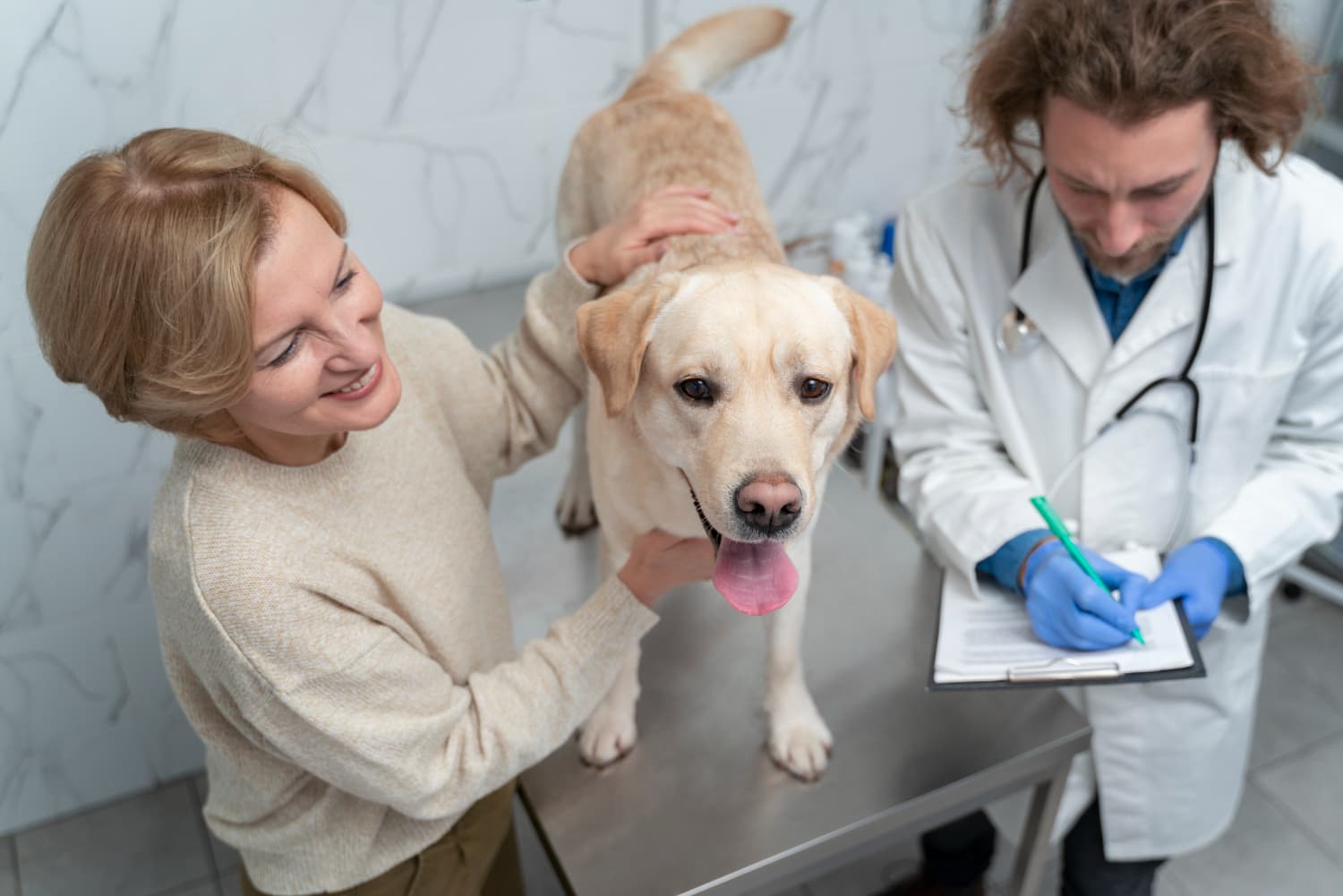 Pet Surgery in Dubai