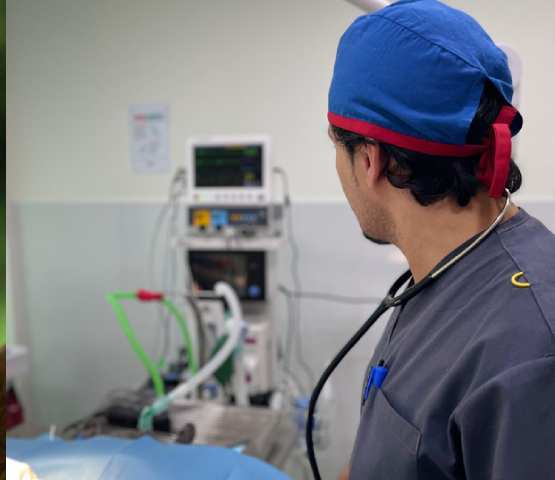 Advanced Monitoring of Anaesthesia